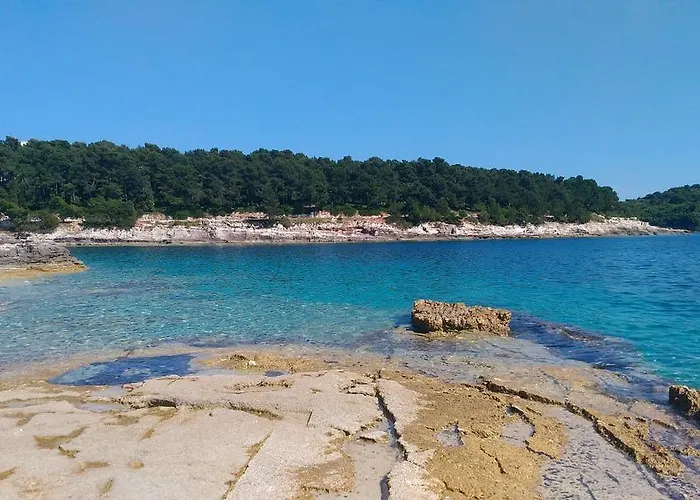 Seaview Arena 아파트